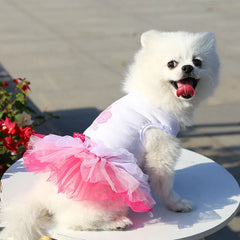 Spring Lace Dog Dress for Small Dogs – Elegant Pet Outfit for Party, Wedding & Birthday