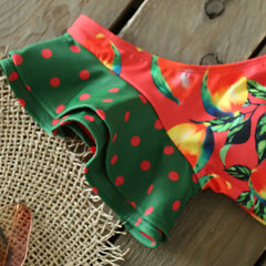 2025 Floral Ruffle Bandage Bikini Set – Women’s Push-Up Two-Piece Swimsuit