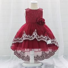 New Baby  Lace  Gown Clothes Embroidered Tail Princess Unique  Dress Perfect Gift For Girls