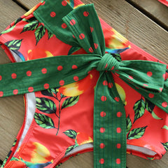 2025 Floral Ruffle Bandage Bikini Set – Women’s Push-Up Two-Piece Swimsuit