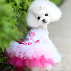 Spring Lace Dog Dress for Small Dogs – Elegant Pet Outfit for Party, Wedding & Birthday