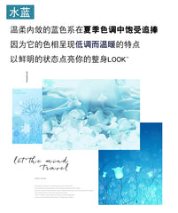 Women’s 100% Cotton O-Neck Knit Sweater – Crimped Edge Pullover