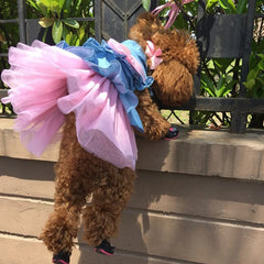 Denim Cat Dress 👗 Summer Outfit for Sphynx, Kittens & Small Pets