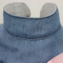 Denim Cat Dress 👗 Summer Outfit for Sphynx, Kittens & Small Pets