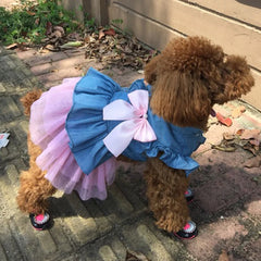 Denim Cat Dress 👗 Summer Outfit for Sphynx, Kittens & Small Pets