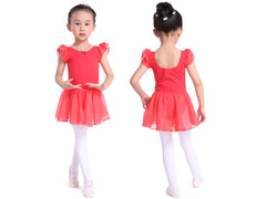 Girls Pink Ballet Tutu Dress – Leotard Dance Costume