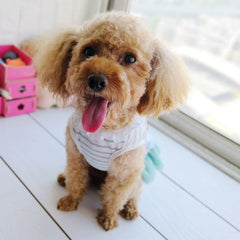 Pink & Blue Pet Tutu Dress 🎀 Party Skirt Outfit for Small Dogs & Cats