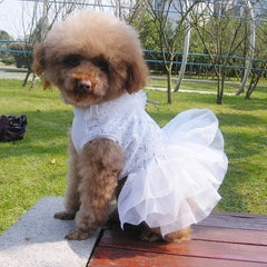 Sequin Princess Dog Dress ✨ Luxury Tutu Bow Outfit for Small Dogs