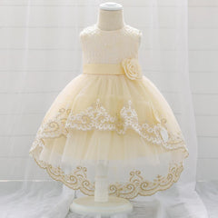 New Baby  Lace  Gown Clothes Embroidered Tail Princess Unique  Dress Perfect Gift For Girls