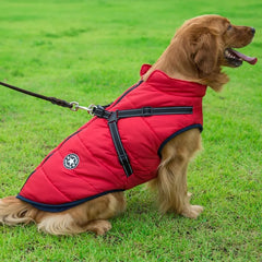 Waterproof Winter Dog Jacket ❄️ Warm Harness Coat for Small & Large Dogs