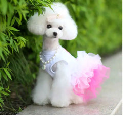 Spring Lace Dog Dress for Small Dogs – Elegant Pet Outfit for Party, Wedding & Birthday