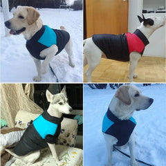 Padded Waterproof Dog Jacket ❄️ Warm Winter Vest for Small, Medium & Large Dogs