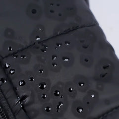 Waterproof Winter Dog Jacket ❄️ Padded Warm Vest for Small, Medium & Large Dogs