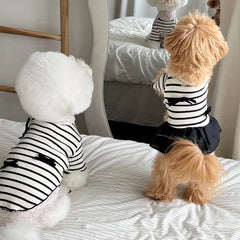 Summer Striped Dog Dress – Bow Collar Outfit for Small Dogs, Black & White Pet Clothes
