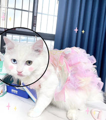 Spring Princess Dog Dress 🌸 Lace & Stripe Skirt for Dogs & Cats