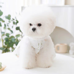 Luxury Summer Dog Dress 🎀 Lace Mesh Bow Outfit for Small Dogs & Cats