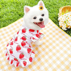 Princess Dog Dress 🍓 Cute Strawberry Summer Outfit for Small Dogs & Cats