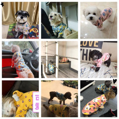 Winter Dog Hoodie ❄️ Warm Sweatshirt for Small Dogs & Cats