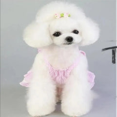 Plaid Dog Dress 👗 Pink & Blue Summer Skirt for Small Dogs & Cats