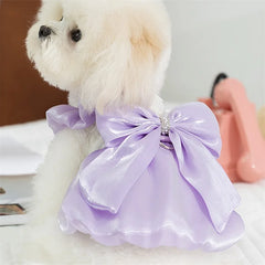 Adorable Tutu Dog Dress 🎀 Lace Princess Outfit for Small Dogs & Cats