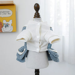 Luxury Princess Dog Dress 👑 Fancy Autumn/Winter Outfit for Small Dogs