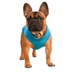 Warm Fleece Dog Jacket ❄️ Soft Winter Vest with D-Ring for Small Dogs & Cats