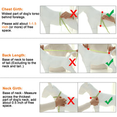 Warm Winter Dog Coat – Thick Cotton Fur Collar Jacket for Small Dogs & Cats