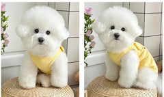 Lightweight Dog Vest 🌤 Breathable Summer Outfit for Small Dogs & Cats