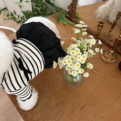 Summer Striped Dog Dress – Bow Collar Outfit for Small Dogs, Black & White Pet Clothes