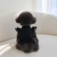 Black Lace Ruffle Pet Dress – Elegant Dog & Cat Outfit for Small Pets (XS–XL)