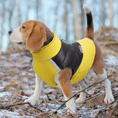 Padded Waterproof Dog Jacket ❄️ Warm Winter Vest for Small, Medium & Large Dogs