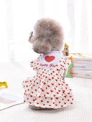 Pink & Blue Pet Tutu Dress 🎀 Party Skirt Outfit for Small Dogs & Cats