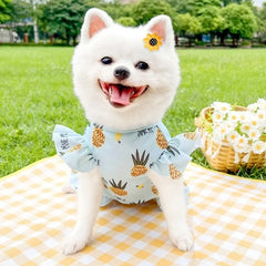 Princess Dog Dress 🍓 Cute Strawberry Summer Outfit for Small Dogs & Cats