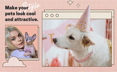 Dog & Cat Diamond Cuban Link Chain – Crystal Pet Collar