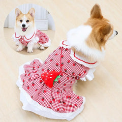 Strawberry Plaid Dress for Small Dogs & Cats