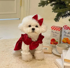 Winter Bow Knot Dog Dress Set – Warm Christmas Princess Outfit for Small Dogs & Cats