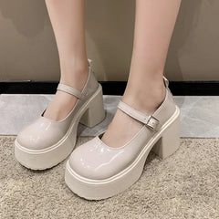 Fashion White Chunky Platform High Heels Women's 2024 New Fall/winter Mary Jane Shoes