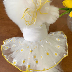 Summer Princess Dog Dress 🌸 Lightweight Skirt for Small Dogs & Puppies