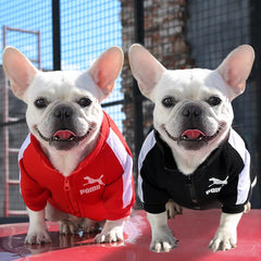 Baseball Dog Jacket 🧢 Warm Winter Sweatshirt for Small & Medium Dogs