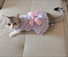 Striped Princess Cat Dress 🎀 Cute Summer Outfit for Cats, Kittens & Small Pets