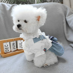 Sea Breeze Denim Pet Dress 🌊 Summer Blue Outfit for Dogs & Cats