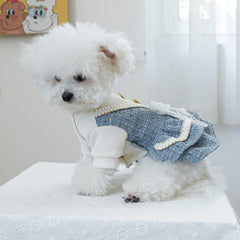 Luxury Princess Dog Dress 👑 Fancy Autumn/Winter Outfit for Small Dogs