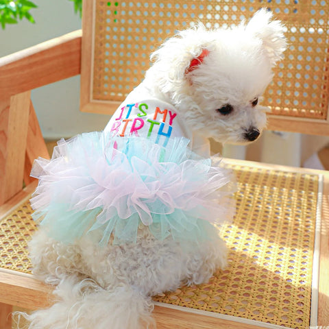White Ballet Birthday Princess Pet Dress – Lightweight Hoodie Outfit for Small & Medium Dogs