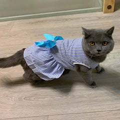 Striped Princess Cat Dress 🎀 Cute Summer Outfit for Cats, Kittens & Small Pets