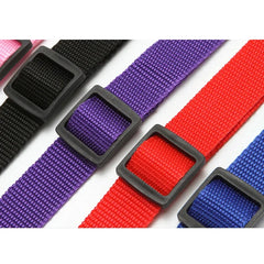 Two-in-One Pet Car Seat Belt – Adjustable Nylon Dog Leash