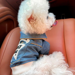 Rock Embroidered Blue Pet Jacket – Stylish Spring Outfit for Dogs & Cats