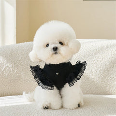 Black Lace Ruffle Pet Dress – Elegant Dog & Cat Outfit for Small Pets (XS–XL)