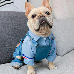 Dog Denim Jumpsuit – Cotton Puppy Outfit for Small & Medium Dogs & Cats