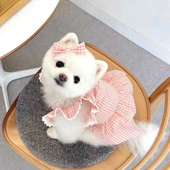 Pink Plaid Lace Pet Dress – Soft Spring/Summer Outfit for Dogs & Cats