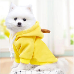 Fruit Fleece Dog Hoodie 🍓 Warm Winter Outfit for Small Dogs & Cats